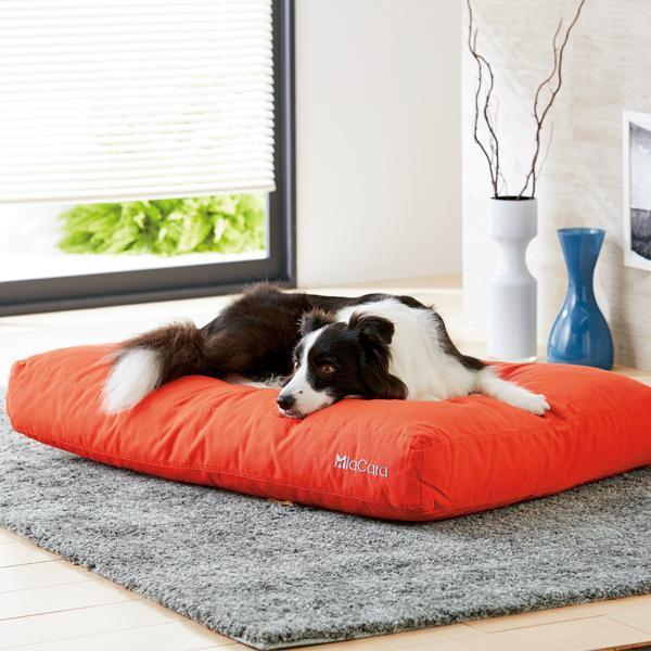 Miacara ミアカラ ドッグクッション ルビオ Sサイズ ベッド マット 小型犬 中型犬 猫 ペット 高品質 はっ水 撥水 シニア 老犬 シニア猫 介護 Buyee Buyee 日本の通販商品 オークションの代理入札 代理購入
