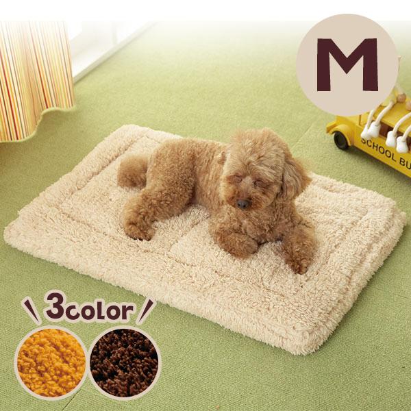 xbh Lxbh RۖhLӂۉxbh l ӂӂ h 킢