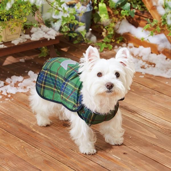 yZ[z yPEPPY@LIFEzntnbs[CR[g S