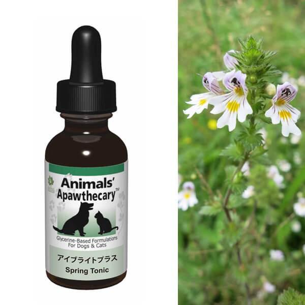 Tv LTv Aj}YApXL[ ACuCgvX n[u Tvg I[KjbN fBJn[u h{ pi Lpi ybgObY