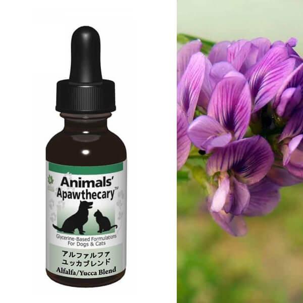 Tv LTv Aj}YApXL[ At@t@EbJuh n[u Tvg I[KjbN fBJn[u h{ pi Lpi