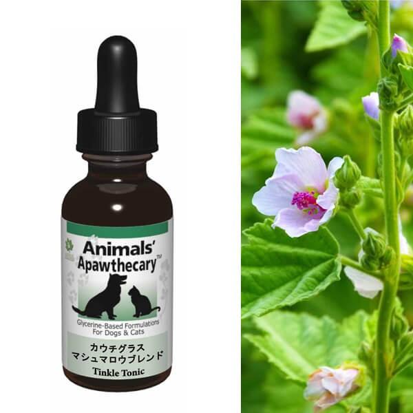 Tv LTv Aj}YApXL[ JE`OXE}V}Euh n[u Tvg I[KjbN fBJn[u h{ pi Lpi