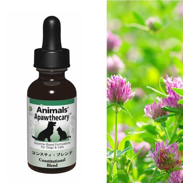 Tv LTv Aj}YApXL[ RXeBuh n[u Tvg I[KjbN fBJn[u h{ pi Lpi ybgObY