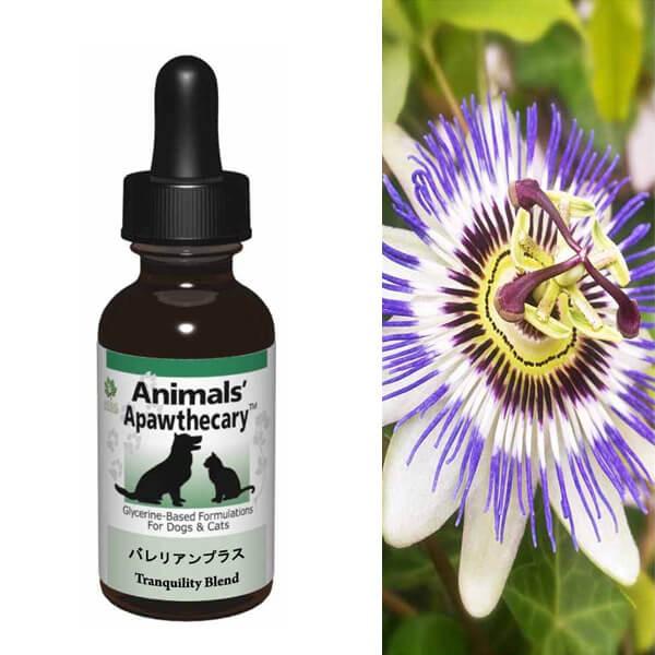 Tv LTv Aj}YApXL[ oAvX n[u Tvg I[KjbN fBJn[u h{ pi Lpi ybgObY