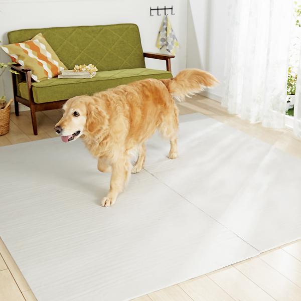 防滑防水ダイナグリップ マットタイプ 100 100 厚さ1cm 介助 介護用品 シニア 老犬 犬用品 小型犬 中型犬 大型犬 猫用品 ペットグッズ 国産 日本産 Peppy ペピイ Paypayモール店 通販 Paypayモール