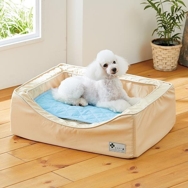 ペット 消臭達人 極 ペット用クールパッド 小 犬 猫 ひんやり 夏 暑さ対策 熱中症 臭い トイレ おしっこ 体臭 消臭 抗菌 ク Peppy ペピイ Paypayモール店 通販 Paypayモール