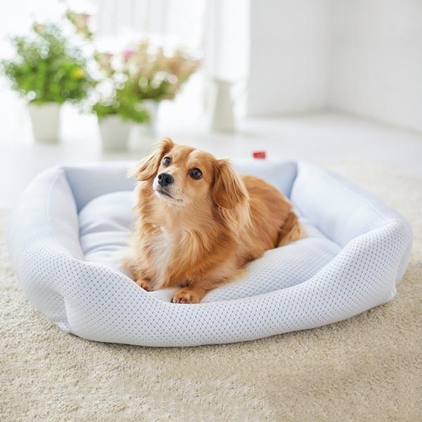 寝苦しい夜も快適 超クール スクエアベッド ｍ ペット 犬 猫 ベッド 夏 クール ひんやり 暑さ対策 熱中症対策 日本製 あご乗せ ペピイ Peppy Peppy ペピイ Paypayモール店 通販 Paypayモール