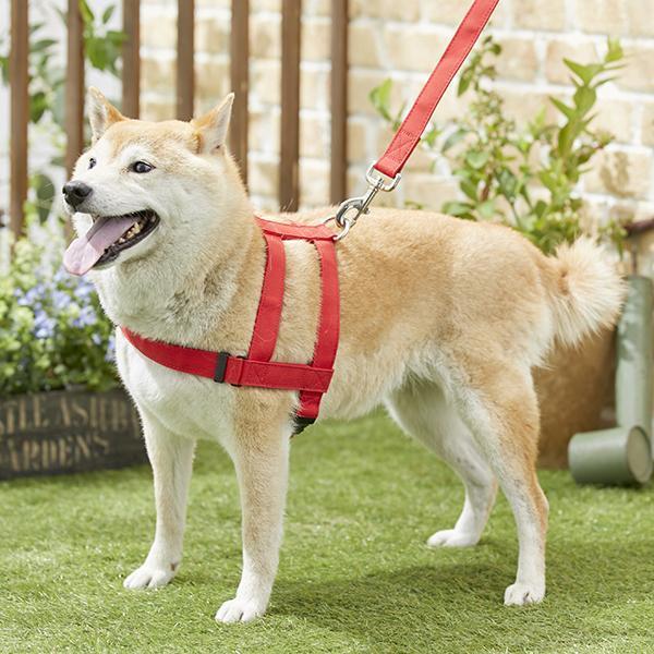抜けにくい抗菌ショルダーハーネス ｍ 犬 ハーネス 抜けにくい 着せやすい 安全 引っ張り癖 散歩 抗菌 小型犬 中型犬 大型犬 ペット ペピイ Pe Buyee Buyee 提供一站式最全面最專業現地yahoo Japan拍賣代bid代拍代購服務 Bot Online