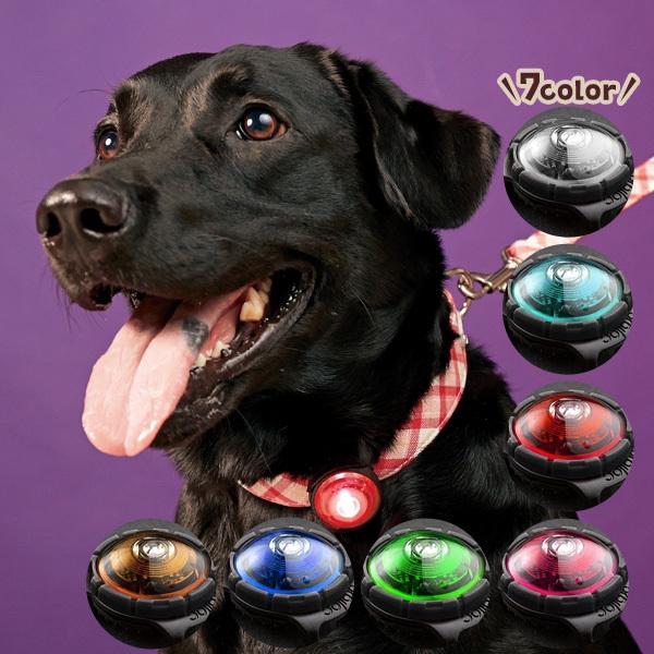  U hbOZ[teBCg@@U@Cg@铹@ʈS