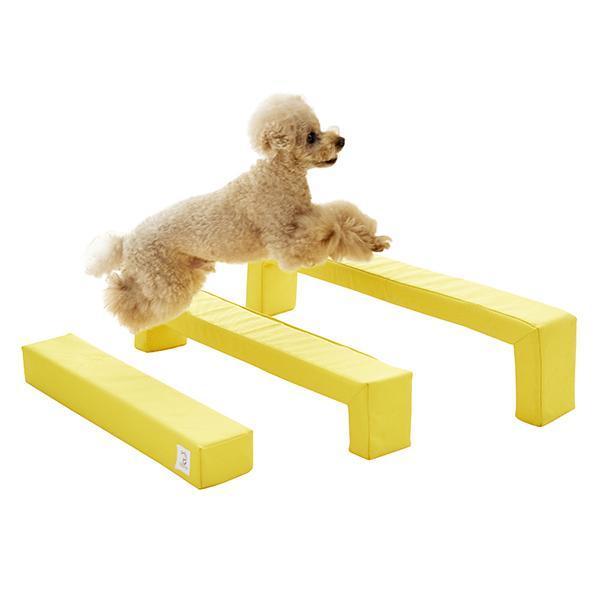 Rosewood アジリティ 小型犬用ハードル Amazon | Rosewood 小型犬用 トレーニング器具 ドッグ