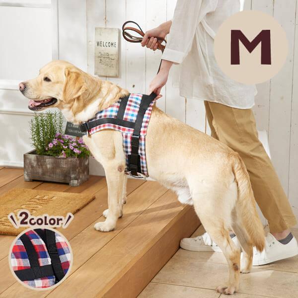 n[lX \tgV_[n[lXEI[KjbN l@  ́[˂  VjA V  n[lX Rbg ybg ysC PEPPY