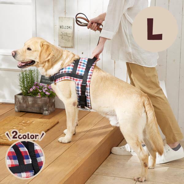 n[lX \tgV_[n[lXEI[KjbN k@  ́[˂  VjA V  n[lX Rbg ybg ysC PEPPY