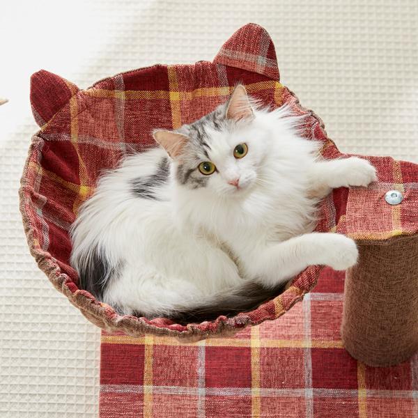 ˂VRnbN@L ˂ xbh nbN `FbN 킢 L ˂݂ CeA ybg ysC PEPPY