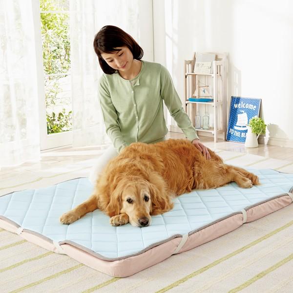 さら肌敷きパッド Sサイズ ベッド マット 夏用 小型犬 中型犬 大型犬 犬用品 猫用品 ひんやり ペットグッズ 涼感加工 クール Buyee Buyee 提供一站式最全面最专业现地yahoo Japan拍卖代bid代拍代购服务 Bot Online