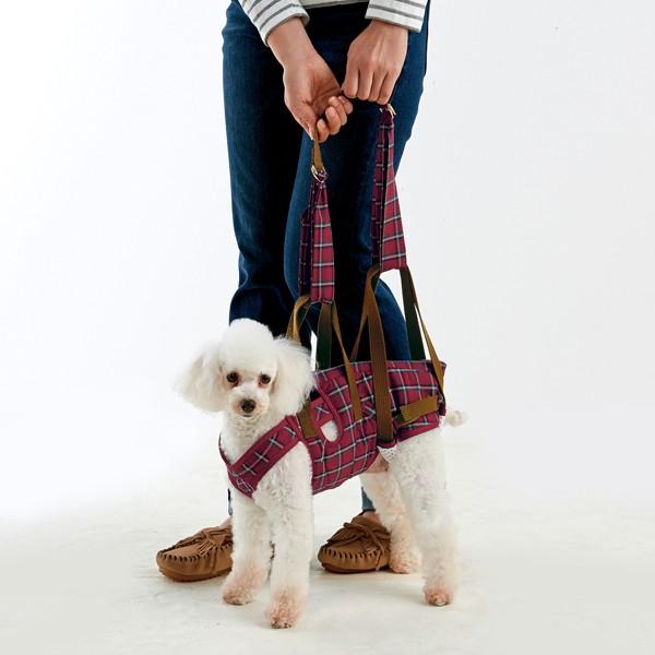   AVX^goh tg 26×oXgŏ35×ő40cmAEGXg33`38cm VjA V ⏕ U s ^ ^