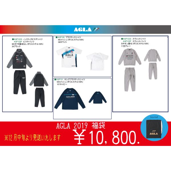 AO@AGLA@2019܁@6_Zbg