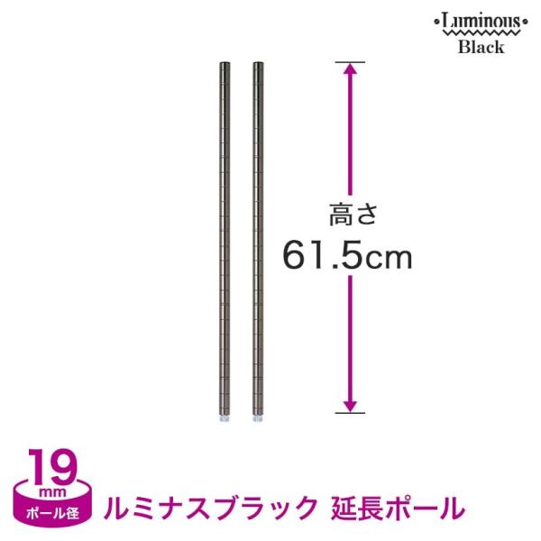 Luminous ルミナスブラック カラーラック スチールラック (19mm