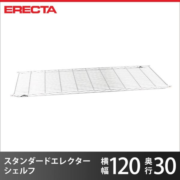 GN^[ GN^[VFt t@[XgV[Y GN^[ ERECTA Iǉ p[c 121.3×s30.3cm Ɩp