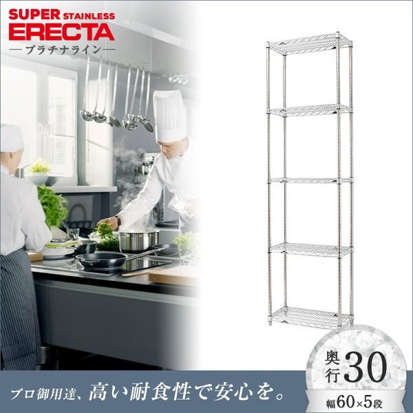 \̔(11{oח\) XeXGN^[VFt 60.5xs30.7cmx219.7cm PS|[ _CJXgEAWXg{gt 5i Ɩp