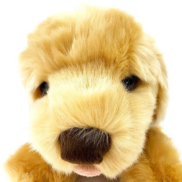 ラブドッグ ゴールデンレトリバー ぬいぐるみ SS イヌ うみのなかま