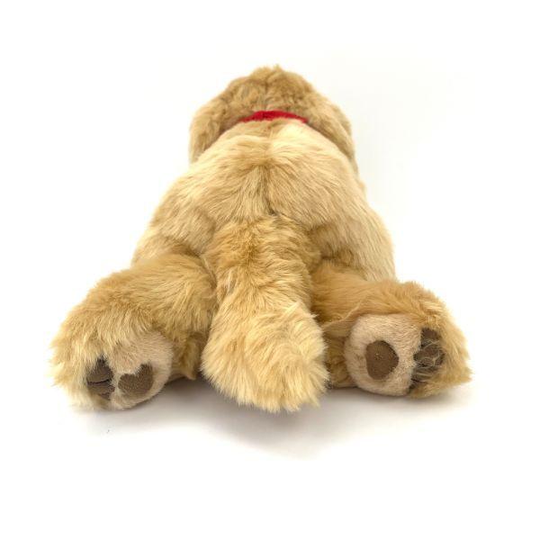 ぬいぐるみ S ゴールデンレトリバー 犬 動物 : パーフェクトワールド