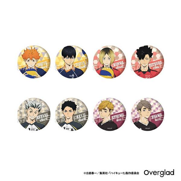 ハイキュー！！ トレーディンググリッター缶バッジ パターンアート 全8
