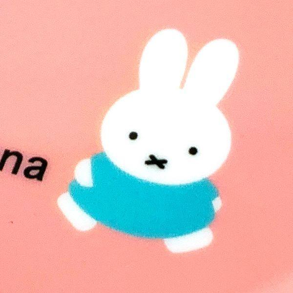 Miffy（ミッフィー） アクリル時計 オータムカラー クロック