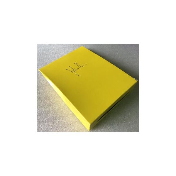 �V�r�� �v���[���g�{�b�N�X syb-box