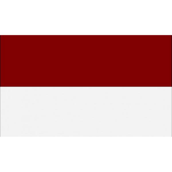 素材: コットン100%。カラーブロックデザイン。