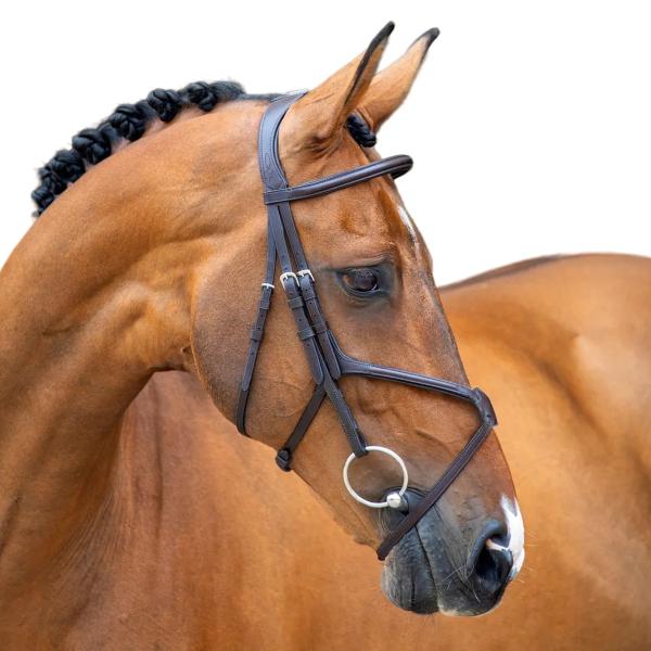 (ベロシティ) Velociti 馬用 レザー ブライドル グラックル 乗馬 頭絡 馬具 ホースライディング ER1810 (ハバナ)
