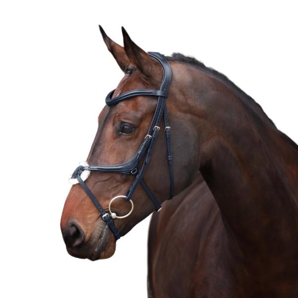 (ベロシティ) Velociti 馬用 Lusso レザー ブライドル グラックル 乗馬 頭絡 馬具 ホースライディング ER2076 (ブラッ