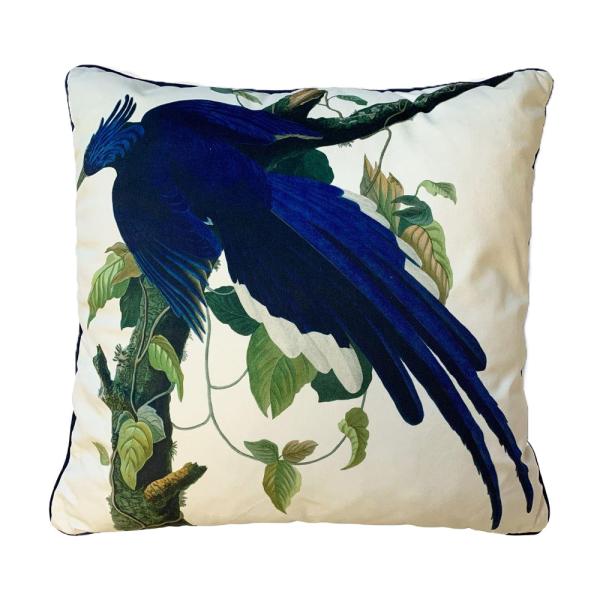 (ジョン・ジェームズ・オーデュボン) John James Audubon オフィシャル商品 Columbia Jay 中綿入り クッション PM8649 (マ