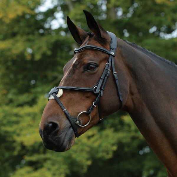 (カレッジエイト) Collegiate 馬用 Comfitec ブライドル グラックル レザー 乗馬 頭絡 馬具 ホースライディング WB1972