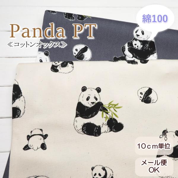 peruru_ct-561