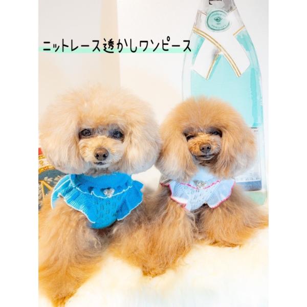 犬 ワンピース 白 レース みんな探してる人気モノ 犬 ワンピース 白 レース ペット ペットグッズ