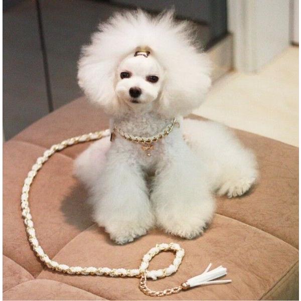 販売終了 犬 リード 可愛い アクセサリー 牽引用首輪 小型犬 子犬 Buyee Buyee Japanischer Proxy Service Kaufen Sie Aus Japan