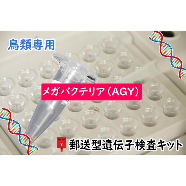 ●1キットにつき1羽の検査可能です●検査キットには有効期限があります（約1ヶ月）愛鳥の糞便を採取して郵送するだけで遺伝子検査を簡単に受けることができます結果は検体受領日から10日以内にEメールでご連絡（書面OK）検出方法　遺伝子検査法(PC...