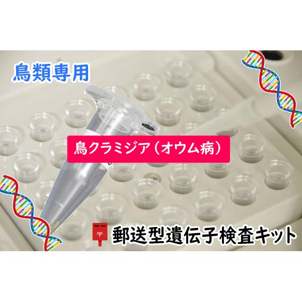 pet-dna_bird-chlamydia