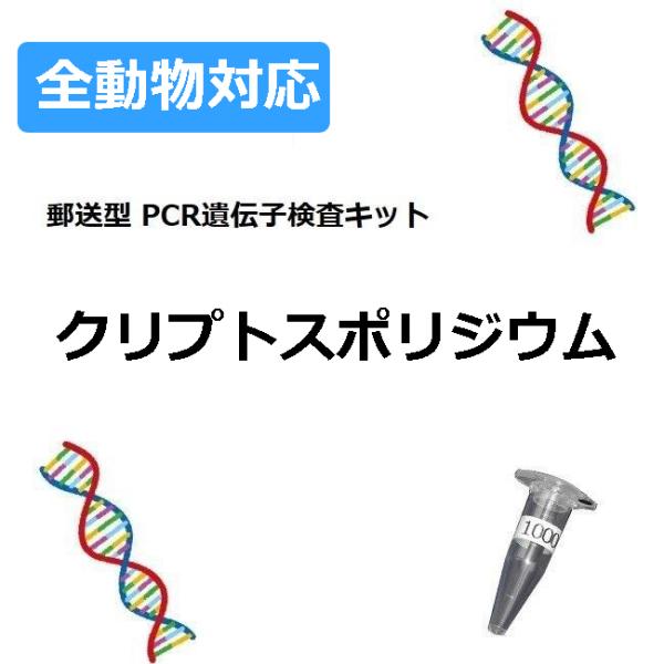 【自宅で遺伝子検査・郵送型】犬・猫・小鳥の遺伝子検査キット　クリプトスポリジウム　検査用　ヘビ、牛など全動物対応
