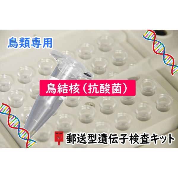 遺伝子検査用キット pet-dna_bird-mac
