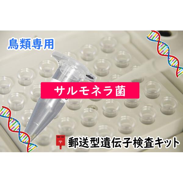 ●1キットにつき1羽の検査可能です●検査キットには有効期限があります（約1ヶ月）愛鳥の糞便を採取して郵送するだけで遺伝子検査を簡単に受けることができます結果は検体受領日から10日以内にEメールでご連絡（書面OK）検出方法　遺伝子検査法(PC...