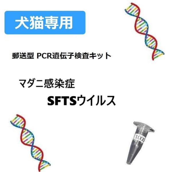 【ペット用遺伝子検査】犬猫の遺伝子検査キット マダニ感染症 重症熱性血小板減少症候群（SFTS）