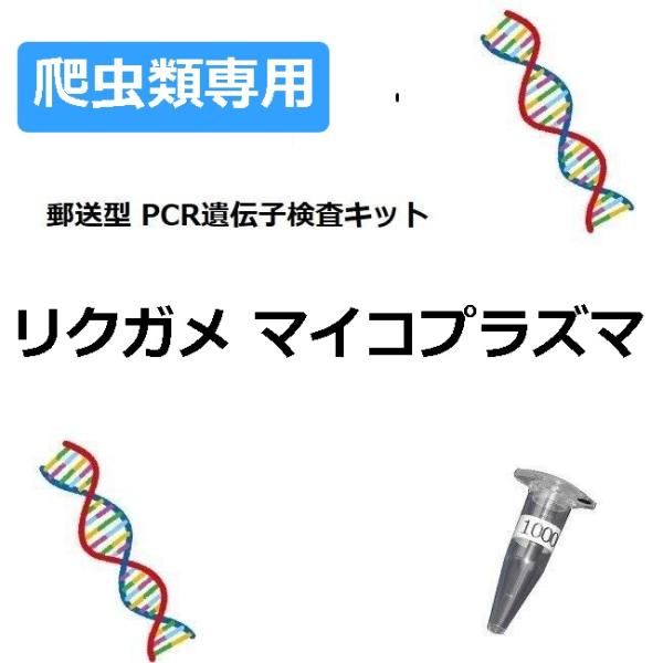 ●1キットにつき1羽の検査可能です●検査キットには有効期限があります（約1ヶ月）ペットの糞便を採取して郵送するだけで遺伝子検査を簡単に受けることができます結果は検体受領日から10日以内にEメールでご連絡（書面OK）検出方法　遺伝子検査法(P...