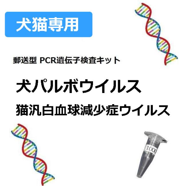 【ペット用遺伝子検査】犬猫の遺伝子検査キット　犬パルボウイルス(CPV)　猫パルボウウイルス(FPLV)　E4
