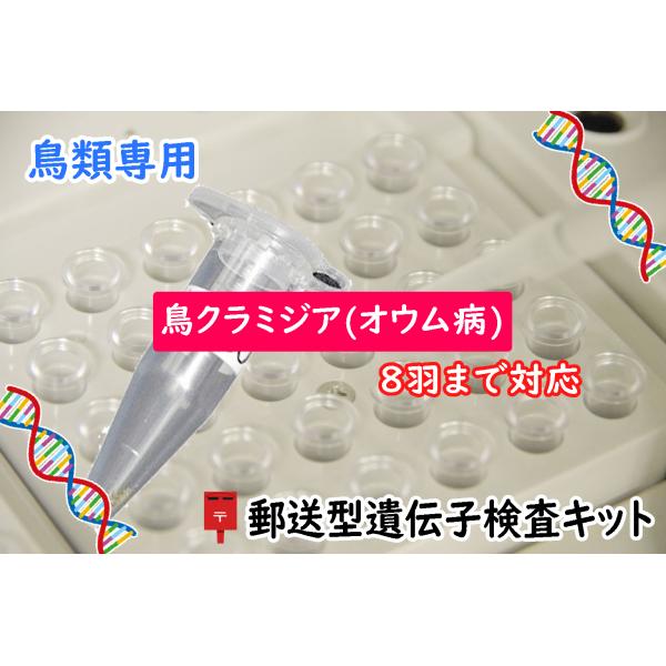 ●最大8羽分の糞を混ぜて提出、検査結果はまとめてお知らせ（個別の鳥ごとの検査結果は出せません）●鳥クラミジアは他の鳥や人間にも感染するため、1年に1回程度の定期的な検査を推奨しています動物病院と同等の検査　鳥クラミジア(オウム病)の遺伝子検...