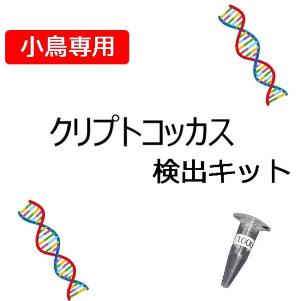 【自宅で遺伝子検査・郵送型】小鳥の遺伝子検査キット　クリプトコッカス　全動物対応　ハト類におすすめ