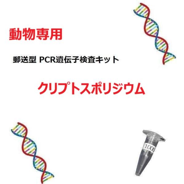 【自宅で遺伝子検査・郵送型】動物の遺伝子検査キット　クリプトスポリジウム　全動物対応　インコ、文鳥、爬虫類など