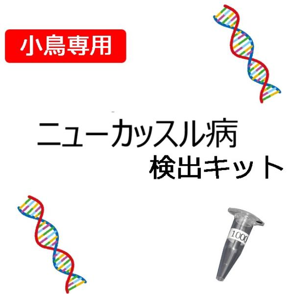 【自宅で遺伝子検査・郵送型】小鳥の遺伝子検査キット　ニューカッスル病　