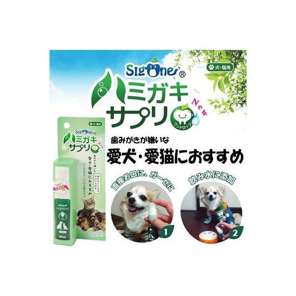 犬 歯磨き 液体 ペットの人気商品 通販 価格比較 価格 Com