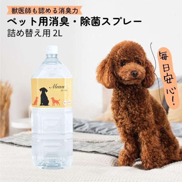 Meau エムオー 中性電解水 ペット用消臭 除菌 スプレー全国47都道府県3000件以上の病院・歯科医院・動物病院・水族館を中心に導入されている、中性電解水です。【内容物】詰め替え用 2L【使用方法】薄めずそのままお使いください。除菌:菌...